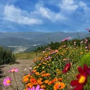 富龙四季小镇景区 - 张家口市旅游 缩略图 4