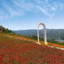 富龙四季小镇景区 - 张家口市旅游 缩略图 2