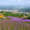 富龙四季小镇景区 - 张家口市旅游 缩略图 1