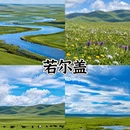 广州旅游 缩略图 6