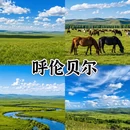 广州旅游 缩略图 2