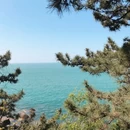 青岛旅游 缩略图 8