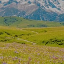 甘孜旅游 缩略图 5