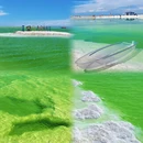 海西旅游 缩略图 3
