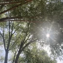 呼伦贝尔旅游 缩略图 13