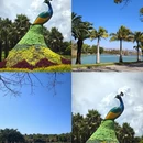 红河旅游 缩略图 5