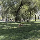 乌鲁木齐旅游 缩略图 4