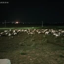 呼伦贝尔旅游 缩略图 5