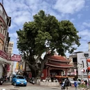 苏州旅游 缩略图 11