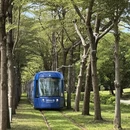 高雄旅游 缩略图 3