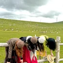 呼伦贝尔旅游 缩略图 5