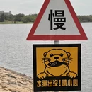 苏州旅游 缩略图 14