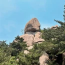 青岛旅游 缩略图 9