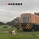 高雄旅游 缩略图 5
