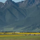 西宁旅游 缩略图 3