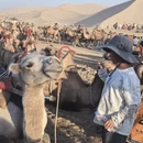 酒泉旅游 缩略图 3