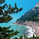 青岛旅游 缩略图 7