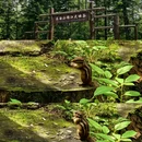 白山旅游 缩略图 2