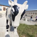 呼伦贝尔旅游 缩略图 2