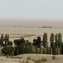 兰州旅游 缩略图 13