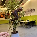 文山州旅游 缩略图 4