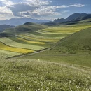 海北旅游 缩略图 6