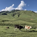 海北旅游 缩略图 3