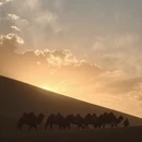 兰州旅游 缩略图 18