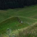 伊犁旅游 缩略图 10