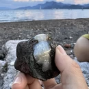 玉溪旅游 缩略图 5