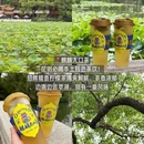 昆明旅游 缩略图 5