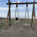 伊犁旅游 缩略图 9