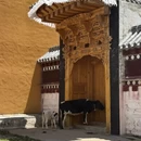 果洛旅游 缩略图 6