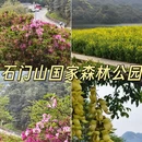 济宁旅游 缩略图 4