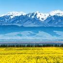 伊犁旅游 缩略图 4
