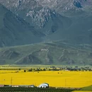西宁旅游 缩略图 4