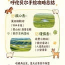呼伦贝尔旅游 缩略图 5