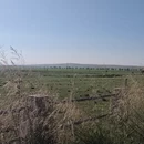 呼伦贝尔旅游 缩略图 4