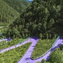 杭州旅游 缩略图 2