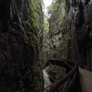 重庆旅游 缩略图 2