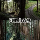 台北旅游 缩略图 3