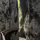 重庆旅游 缩略图 7