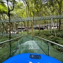 杭州旅游 缩略图 17