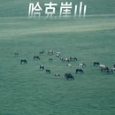 呼伦贝尔旅游 缩略图 1