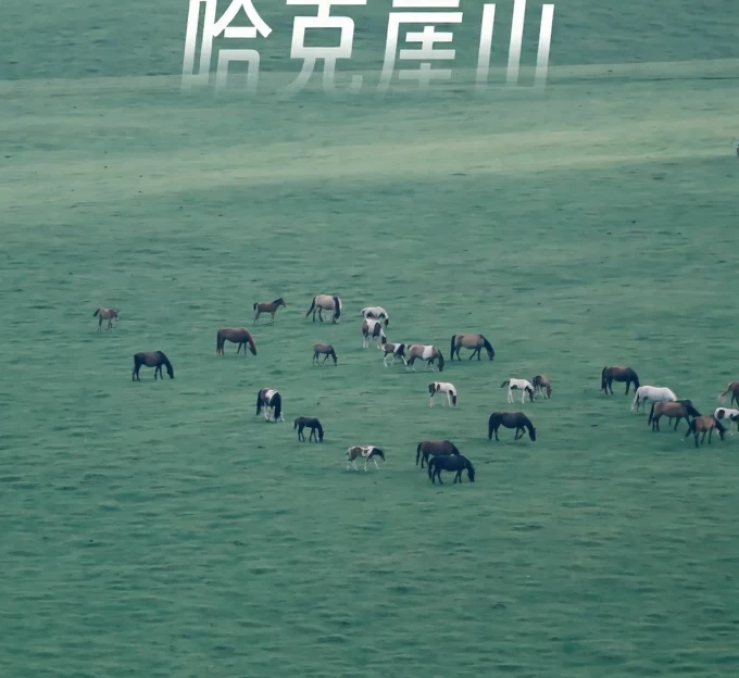 呼伦贝尔旅游 1