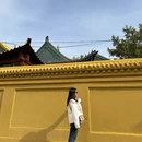 乌兰巴托旅游 缩略图 7