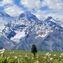 伊犁旅游 缩略图 4