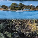 台北旅游 缩略图 7