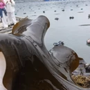 宁德旅游 缩略图 6
