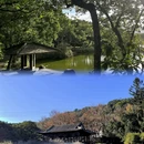 台北旅游 缩略图 3